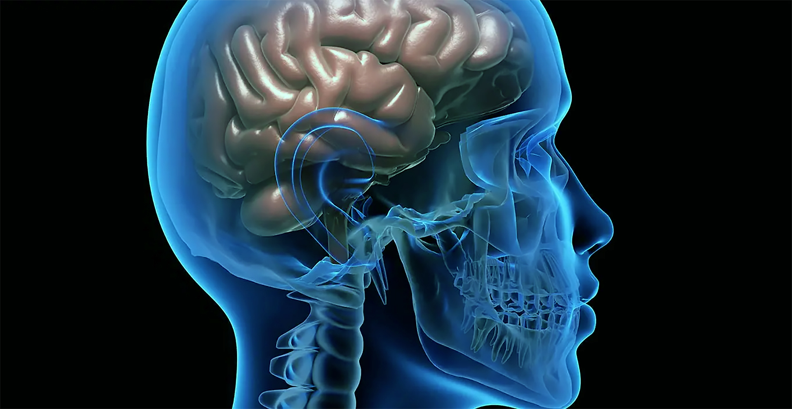 ��� ���� �������� ��� ��������� ���������