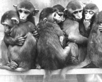 ������-�����