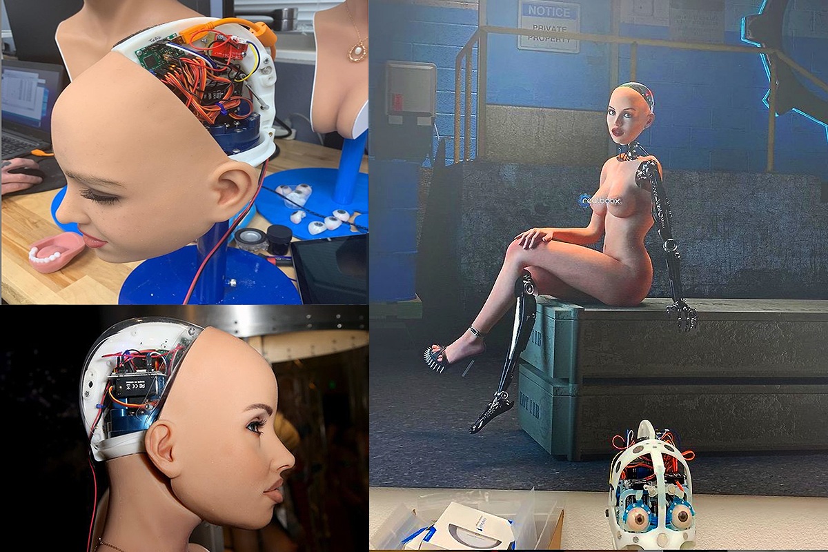 ����-������ �������� Abyss Creations Realbotix