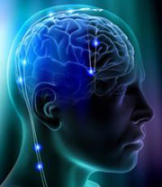 ��������������������