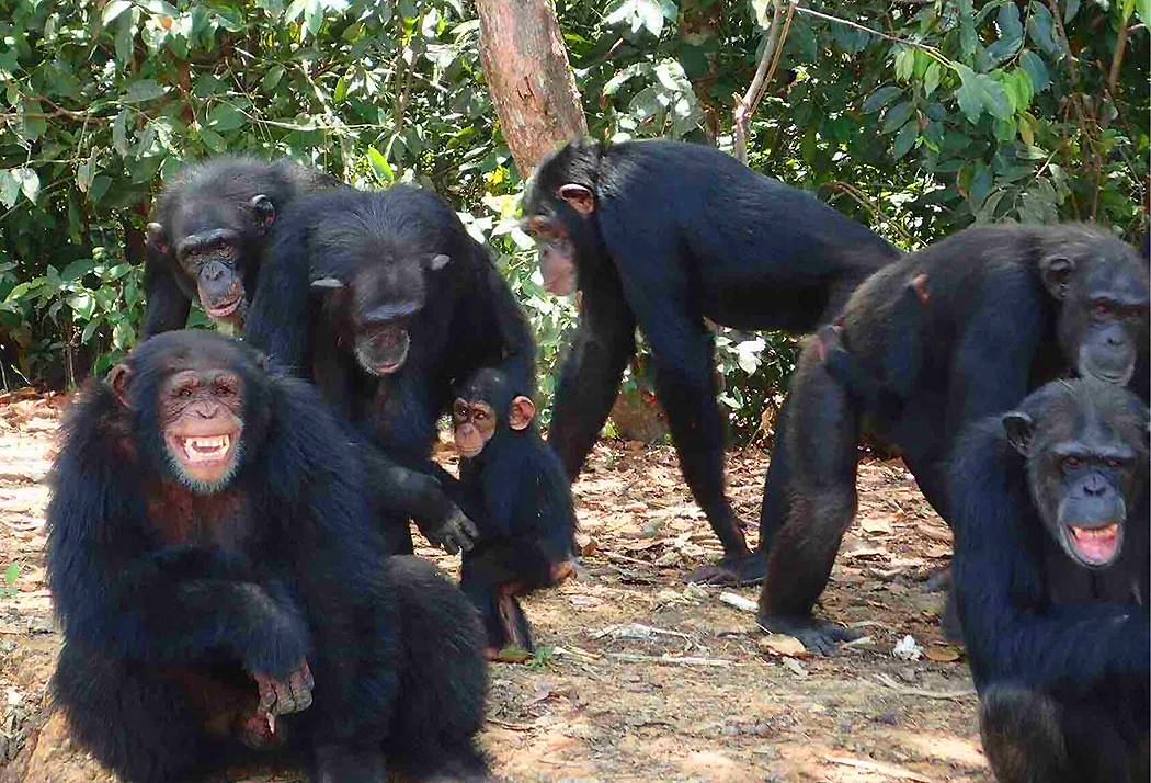 ���������� ��������� ��������