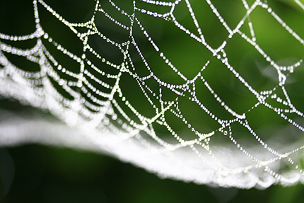 ���������� ����