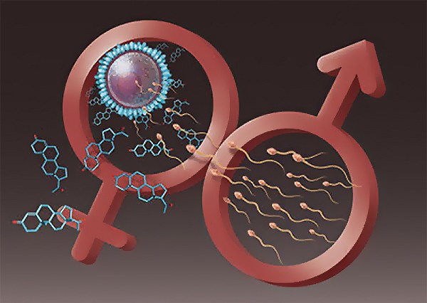 ������� ������ - ���� ��������