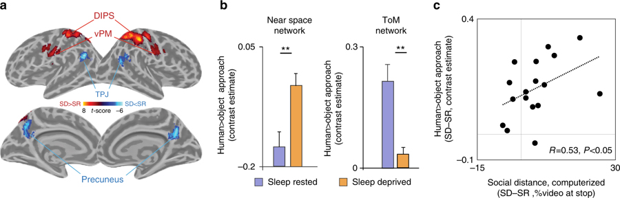 ������������� ������ ������ (�theory of mind�)