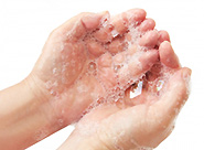 ����������