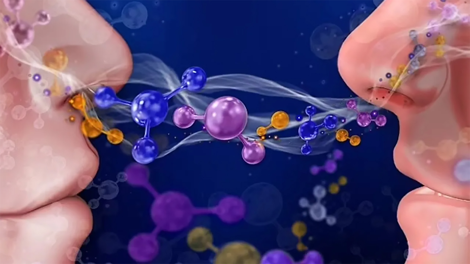 � ������ ������� ����� ����